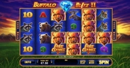 Buffalo Blitz 2 Bonus